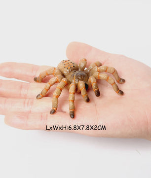 Realistische Insecten & Slakken Modellen - Educatief Speelgoed, Verzamelen & Decoratie