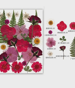 30 Stuks Gedroogde Persbloemen - Natuurlijke Bloemen & Bladeren voor Resin Art, Knutselen en Decoratie