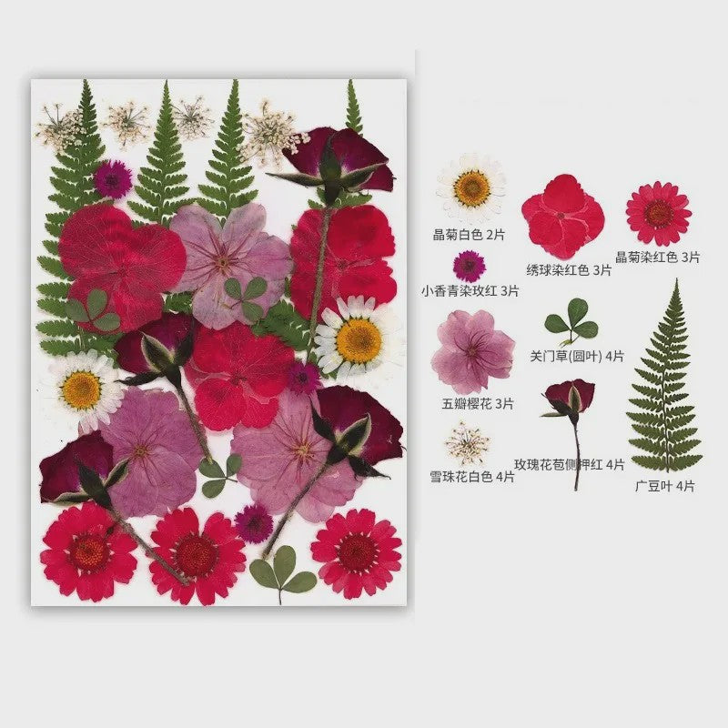 30 Stuks Gedroogde Persbloemen - Natuurlijke Bloemen & Bladeren voor Resin Art, Knutselen en Decoratie