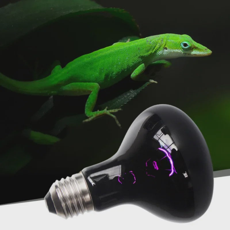Reptielen UVA Infrarood Maanlicht Warmtelamp - 25W t/m 100W