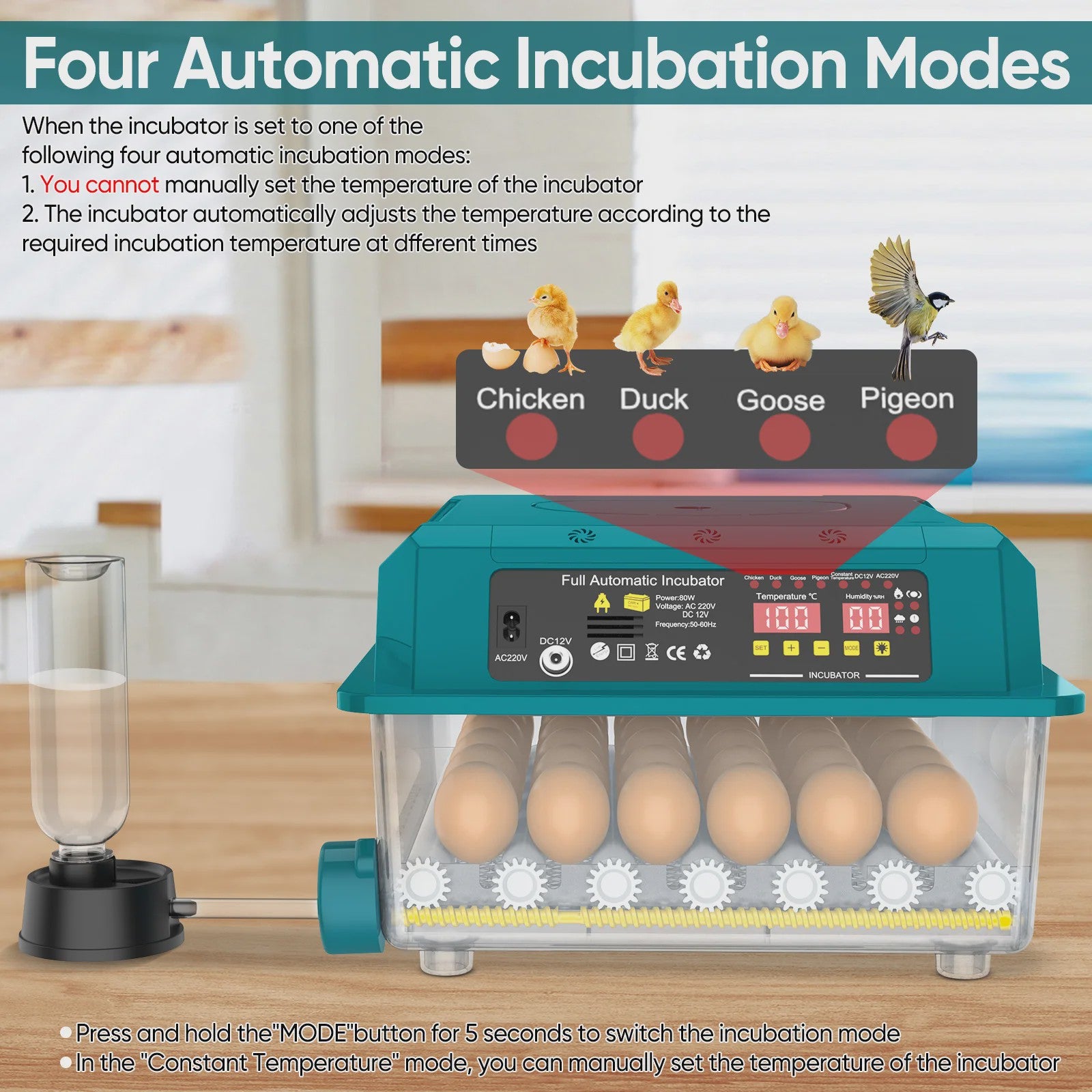 Volledig Automatische Broedmachine voor 36 Eieren - 4 Modi, Automatische Keer- & Temperatuurregeling