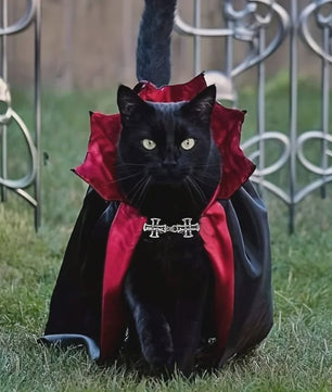 Halloween Vampier Cape & Hoed Set voor Katten - Feestelijke Verkleedkostuum