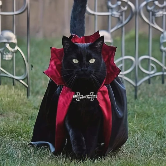 Halloween Vampier Cape & Hoed Set voor Katten - Feestelijke Verkleedkostuum