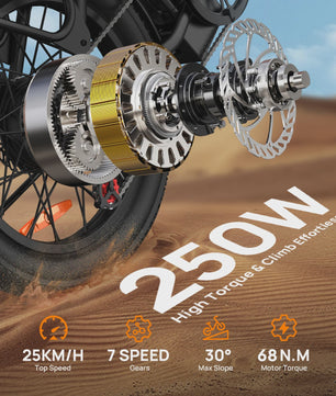Urlife E20 Elektrische Fatbike - 20 Inch Wielen, 48V 13Ah Accu, 80KM Actieradius