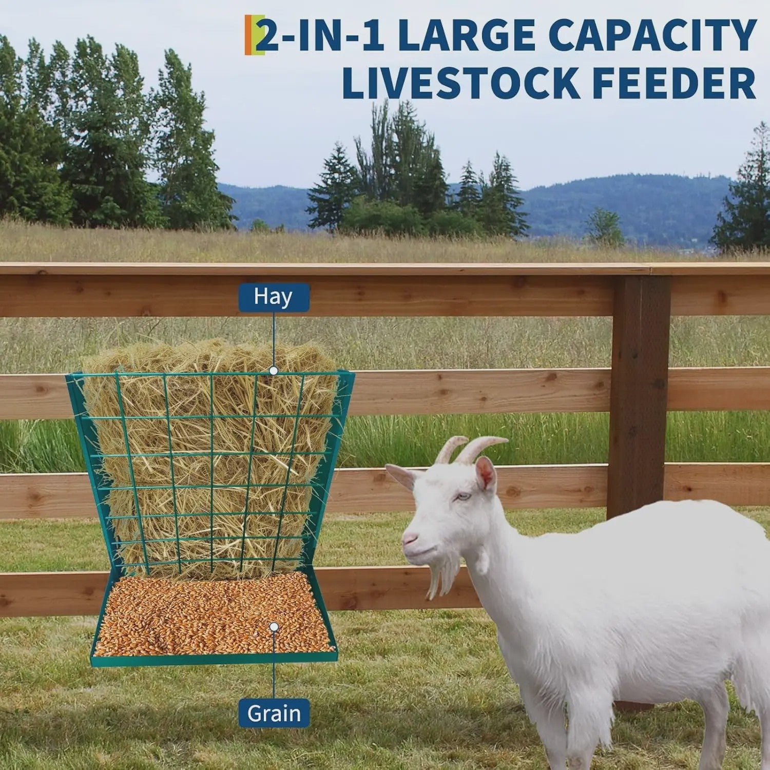 2-in-1 Wandmontage Voerbak Hooi & Graan | Verzinkt Staal | Paarden, Geiten, Schapen, Vee