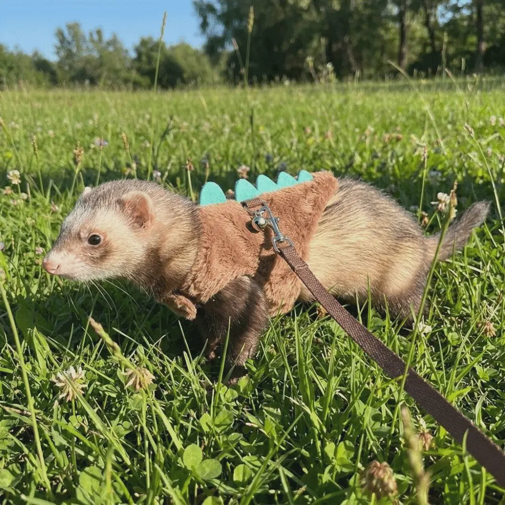 Veilig en Comfortabel Dinosaurusharnas met Riem voor Fretten, Hamsters en Cavia's