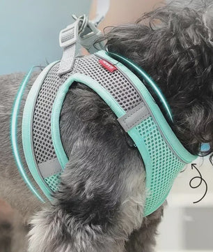 Verstelbaar Puppy en Kat Tuigje met Riem - Ideaal voor Kleine Honden zoals Chihuahua & Franse Bulldog