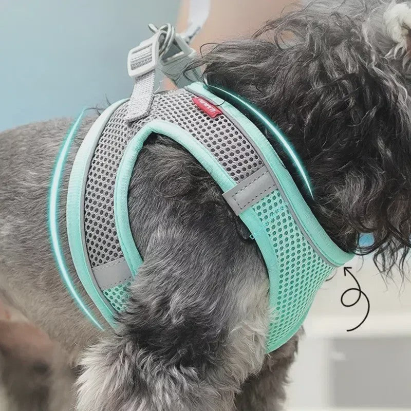 Verstelbaar Puppy en Kat Tuigje met Riem - Ideaal voor Kleine Honden zoals Chihuahua & Franse Bulldog