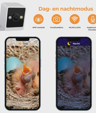 Slim Vogelhuisje met Camera: Slimme Nestkast met Bewegingsdetectie & App