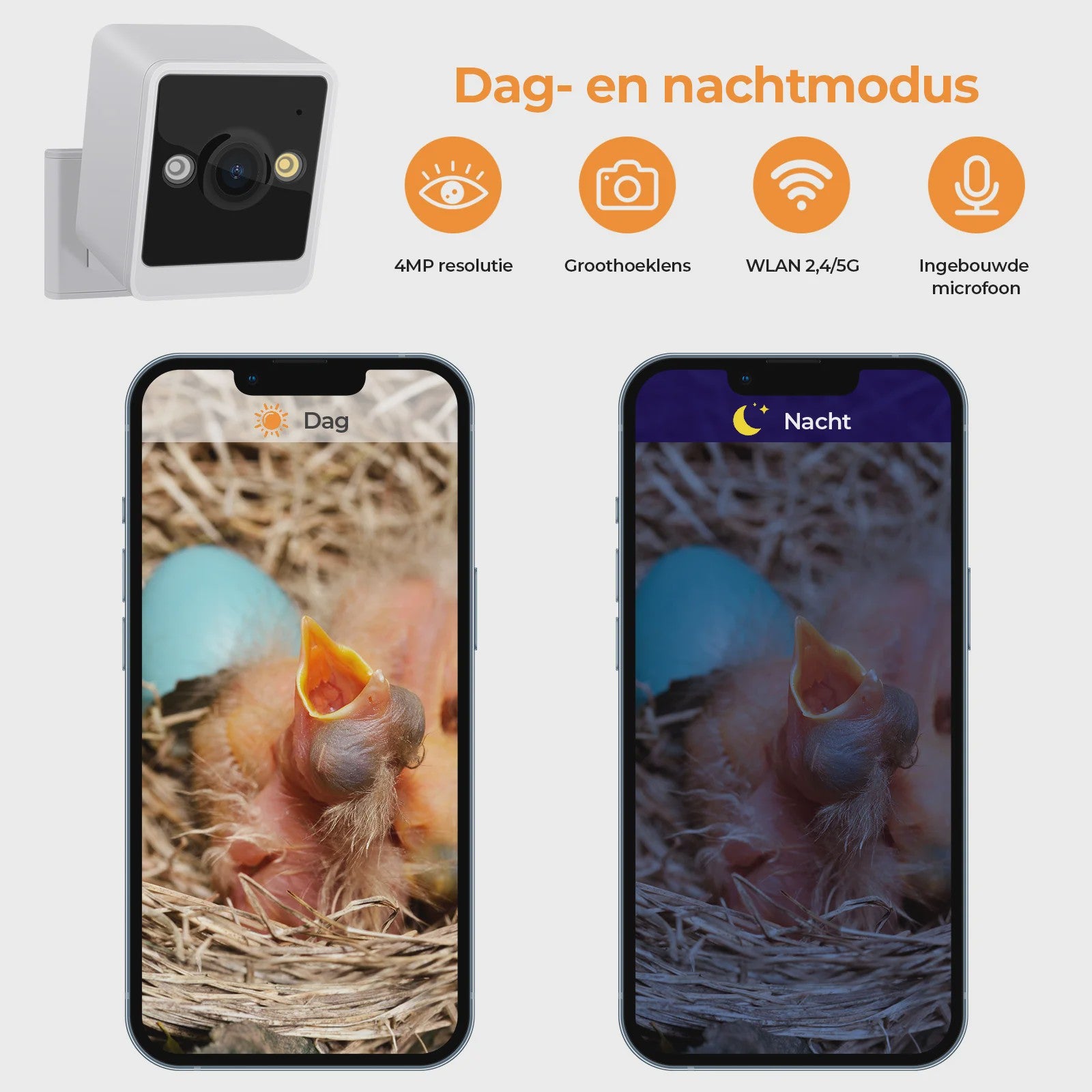 Slim Vogelhuisje met Camera: Slimme Nestkast met Bewegingsdetectie & App