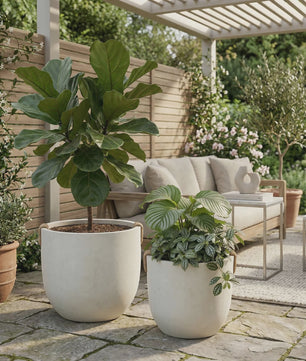 Grote Gevroren Steenlook Bloempot - Stijlvolle Plantenbak voor Bonsai & Balkon