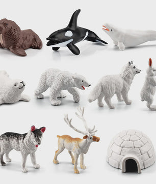 Set van 10 Arctische Dieren Figuren - Realistische Poolbeer, Zeehond, Walrus & Meer