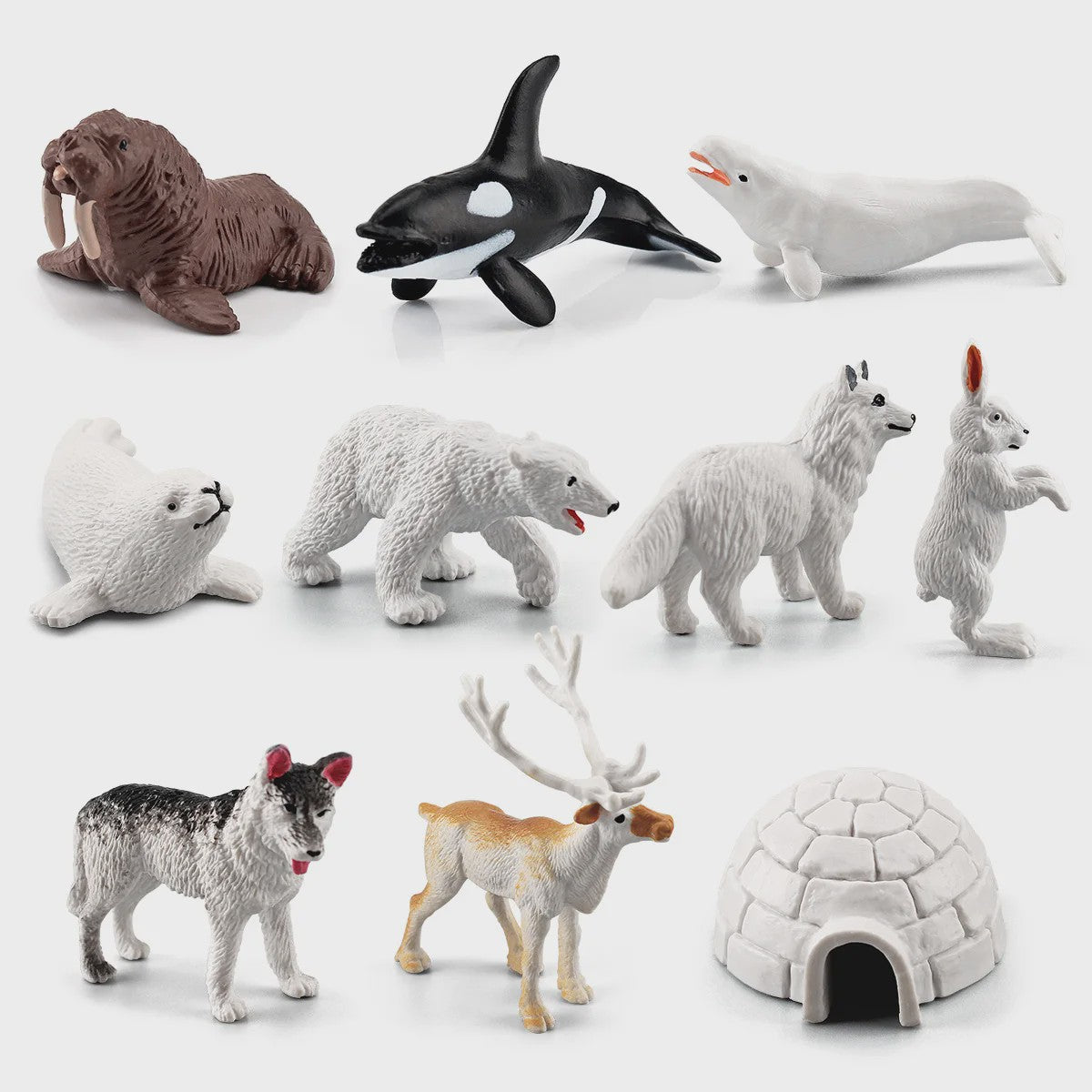 Set van 10 Arctische Dieren Figuren - Realistische Poolbeer, Zeehond, Walrus & Meer