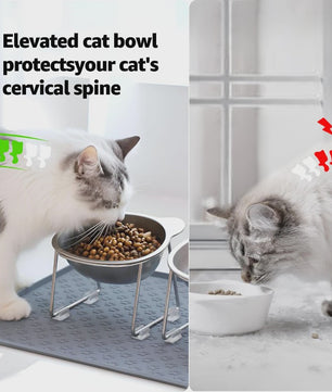 Verhoogde RVS Kattenbak met 15° Kantelontwerp - Gezond Eten, Nekbescherming & Onbreekbaar