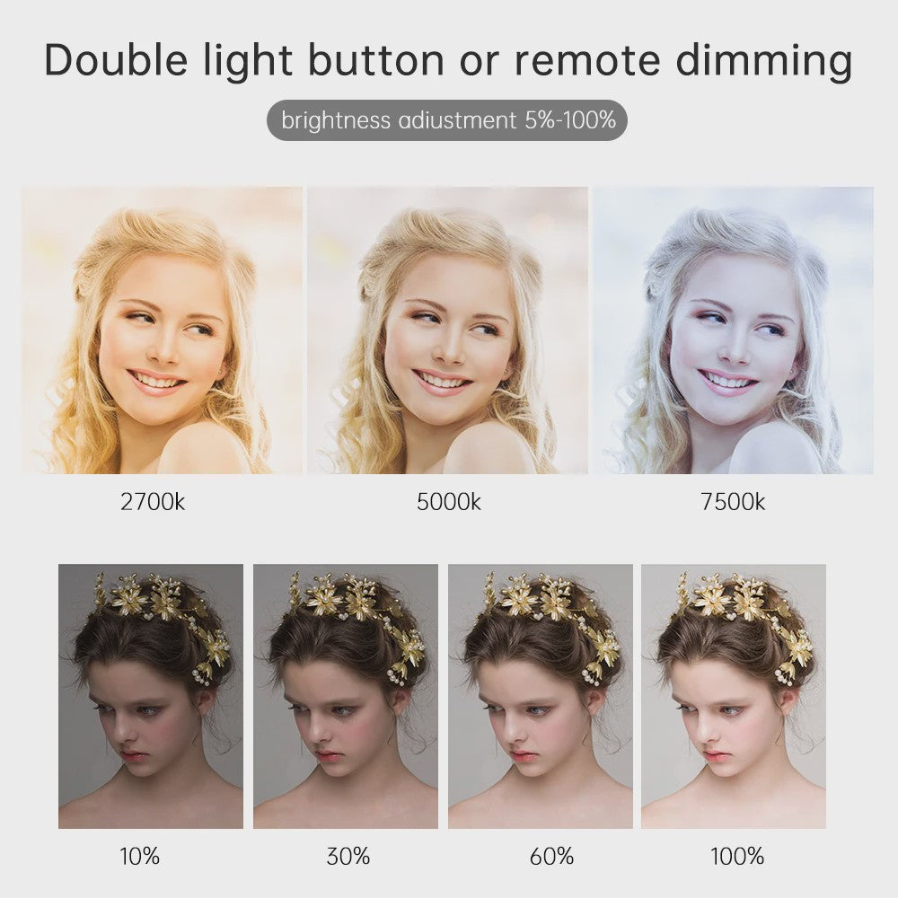 24-inch LED Videolamp met Statief - Verstelbare Kleurtemperatuur & Helderheid voor Fotografie & Livestreaming