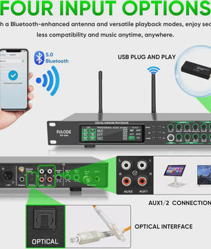 FULODE AX-666 Dubbel Draadloos Microfoon Systeem met Digitale Karaoke Processor