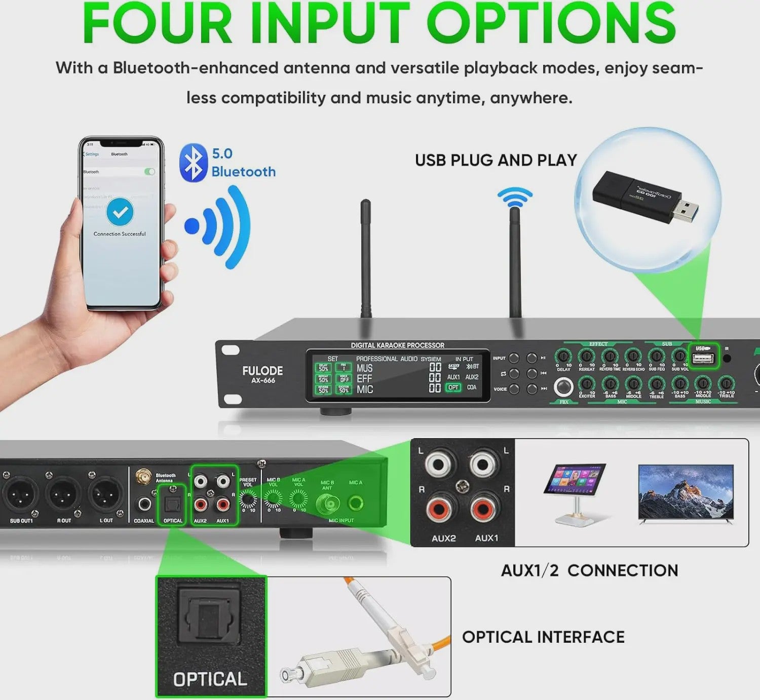FULODE AX-666 Dubbel Draadloos Microfoon Systeem met Digitale Karaoke Processor