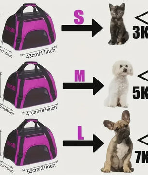Draagbare Hondentas & Kattenmand - Ademende Mesh Reistas voor Kleine Honden en Puppies, Opvouwbaar