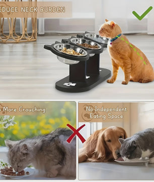 Verhoogde Kattenvoerbak met Houten Standaard & 3 RVS Bakjes - 15° Schuin