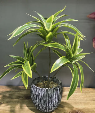 Kunstplant 36cm met 3 Bamboe-achtige Takken - Tropische Decoratie