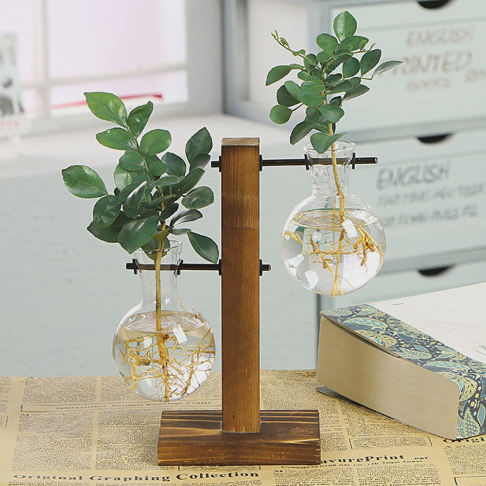 Glazen Vaas met Houten Standaard - Hydroponische Plantenbak voor Bureau & Tafel