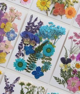 Set Gedroogde Bloemen & Bladeren (16-19 Stuks) - Natuurlijk & Realistisch