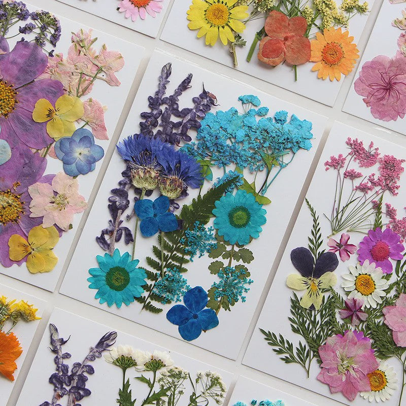 Set Gedroogde Bloemen & Bladeren (16-19 Stuks) - Natuurlijk & Realistisch