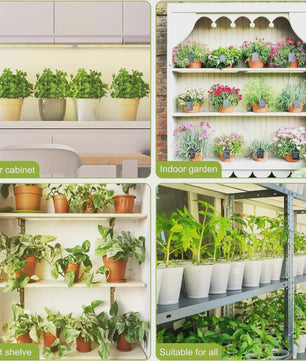 Ultra-dunne LED Groeilamp Full Spectrum met Dimbare Timer voor Binnenplanten
