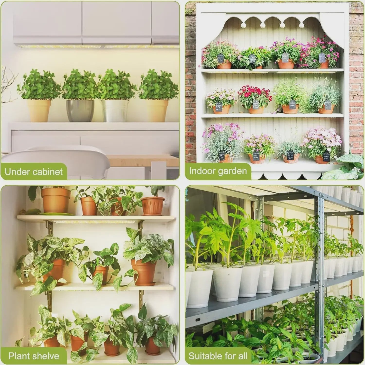 Ultra-dunne LED Groeilamp Full Spectrum met Dimbare Timer voor Binnenplanten