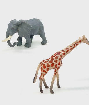 Set van 12 Realistische Wild Animal Dierenfiguren - Speelgoed & Cadeau voor Kinderen