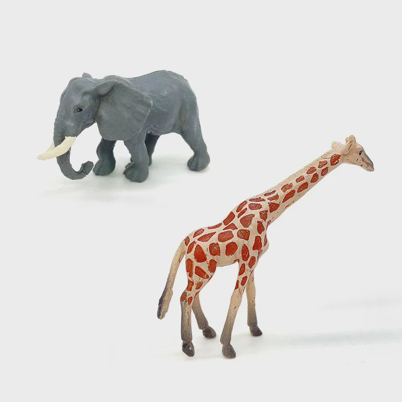 Set van 12 Realistische Wild Animal Dierenfiguren - Speelgoed & Cadeau voor Kinderen