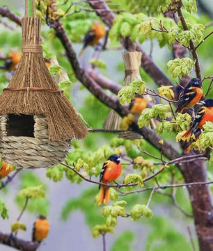 Handgeweven Riet Vogelhuisje - Natuurlijke Stro Nestkast voor Vogels, Weerbestendige Schuilplaats