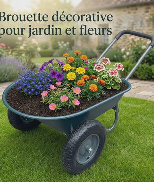 Stevige 2-wiel kruiwagen voor tuin en buiten – 120 kg capaciteit, ijzeren bak & kunststof