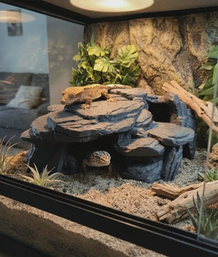Realistische Rots Grot Decoratie voor Aquarium & Terrarium - Veilige Schuilplaats voor Vissen en Reptielen
