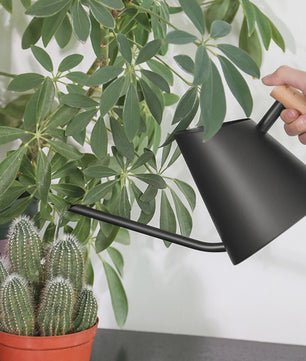 Roestvrijstalen Gieter 900ml Mat Zwart met Houten Handvat & Lange Tuit