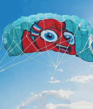 Dual Line Stunt Power Kite - Beginners Kitesurf & Strandplezier