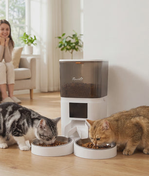 Pawhut Automatische Voerbak 6L met Wifi & App Bediening - Programmeerbaar, 2 Bakken, Spraakopname
