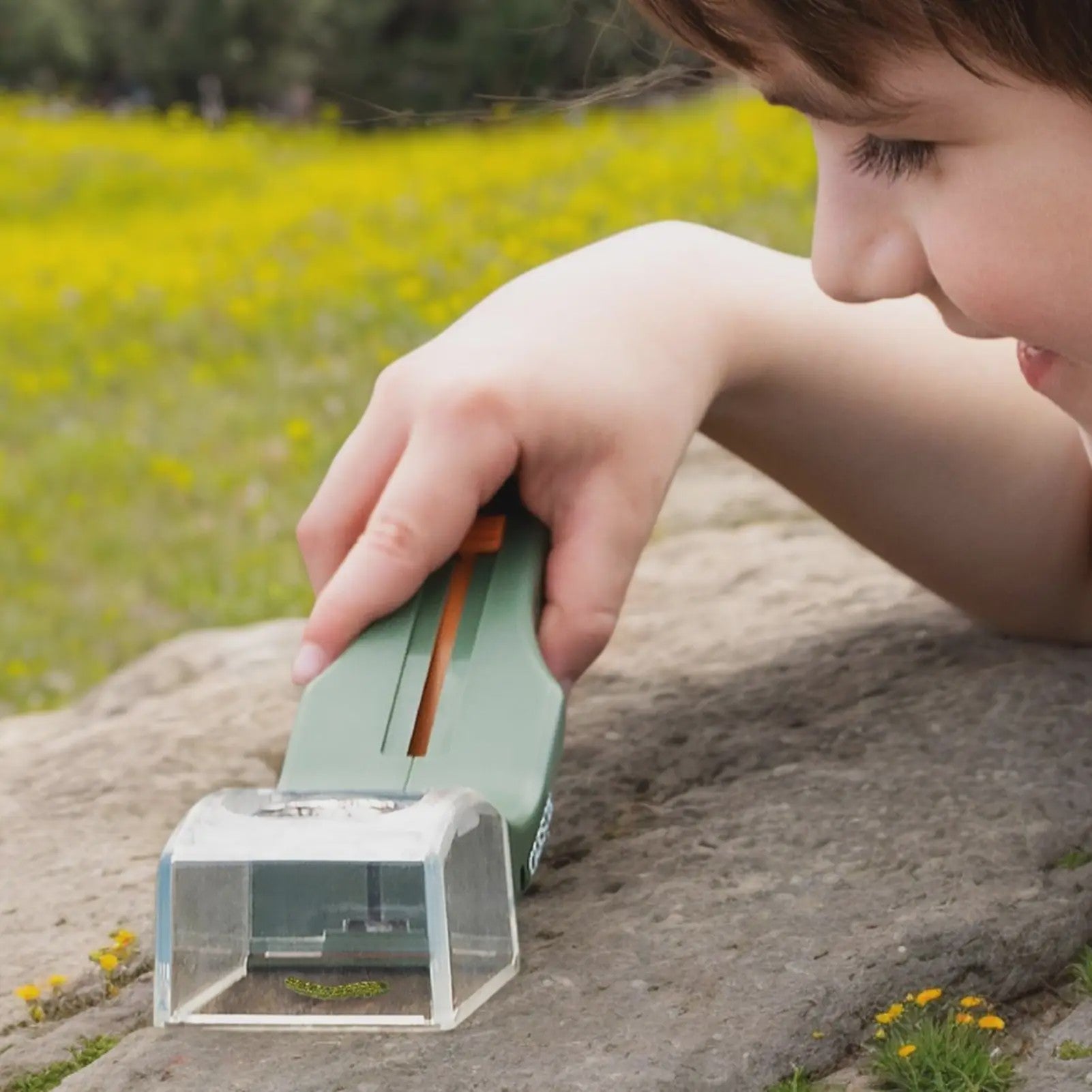 Insectenvanger met Vergrootglas: Veilig Vangen en Bekijken van Vlinders, Spinnen & Insecten voor Kinderen en Volwassenen