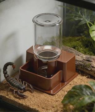 Automatische Waterdispenser voor Reptielen - Drinkbak voor Gecko, Schildpad, Hagedis