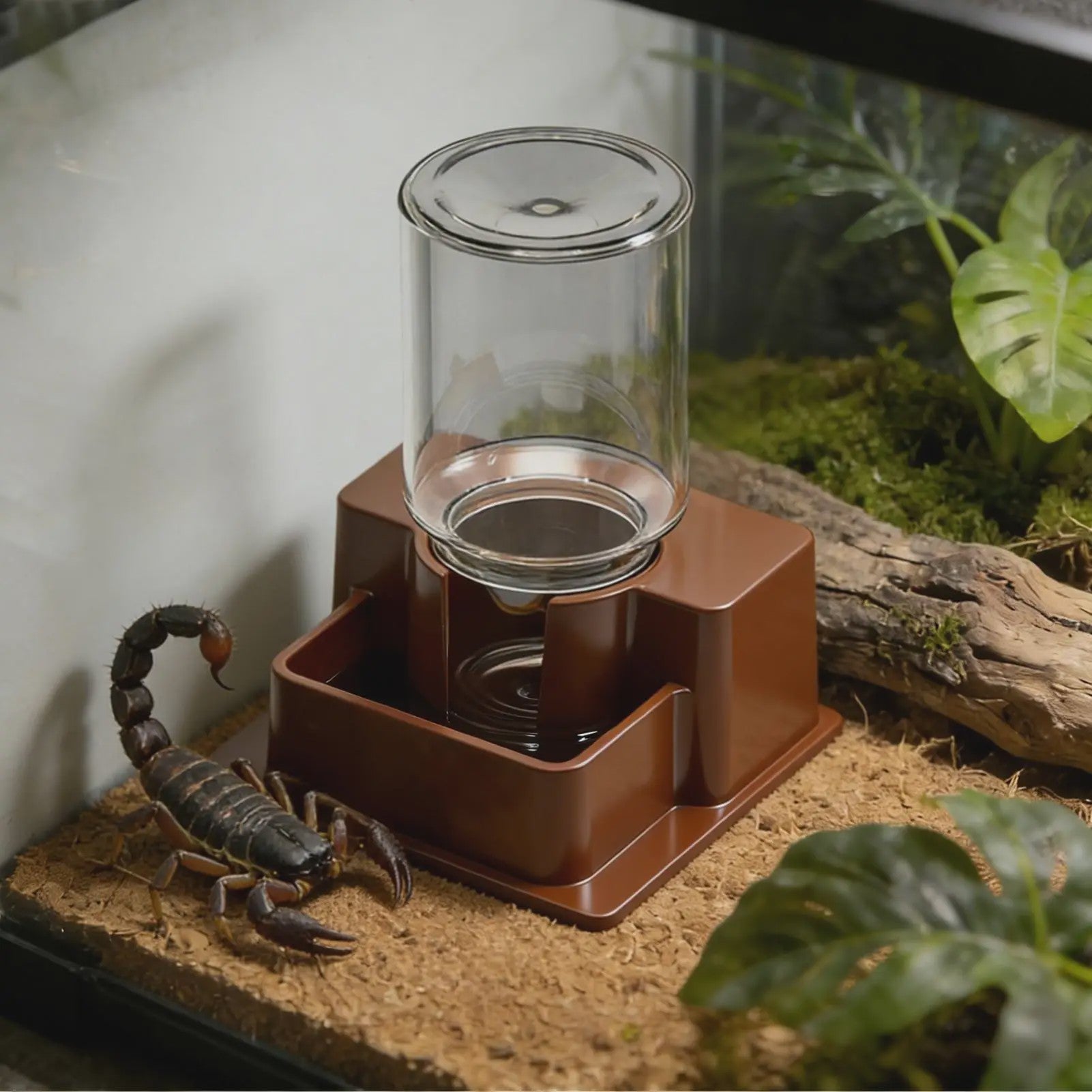 Automatische Waterdispenser voor Reptielen - Drinkbak voor Gecko, Schildpad, Hagedis