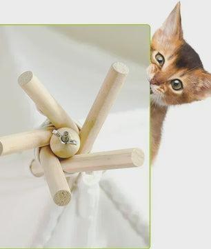 Stijlvolle Huisdierten Teepee Tent - Comfortabel & Wasbaar Bed voor Katten en Kleine/Middelgrote Honden