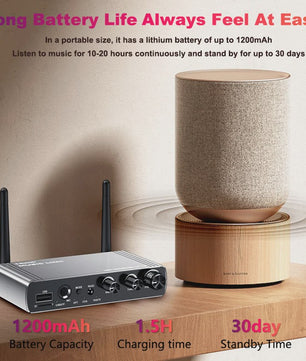 Bluetooth 5.4 Audio Zender & Ontvanger met Optische/Coaxiale Ingang & 3.5mm/6.5mm Aansluiting