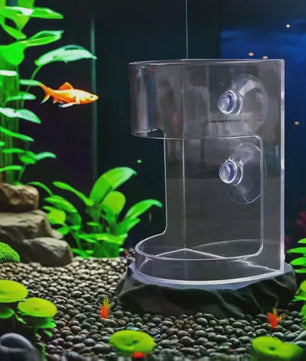 Drijvende Voerring Aquarium met Zuignap - Houd Water Schoon