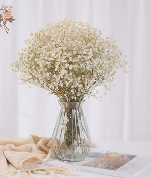 60g Gedroogde Baby's Breath Bloemboeket - Natuurlijke Gypsophila Decoratie