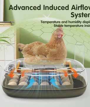 Automatische 24-Eieren Incubator: Temperatuur & Vochtigheid Display, Automatische Watertoevoer, Eiercandler & Keerfunctie