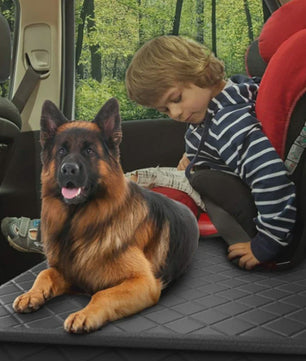 Waterdichte Hond Autostoelhoes - Beschermhoes Achterbank & Hondenmat