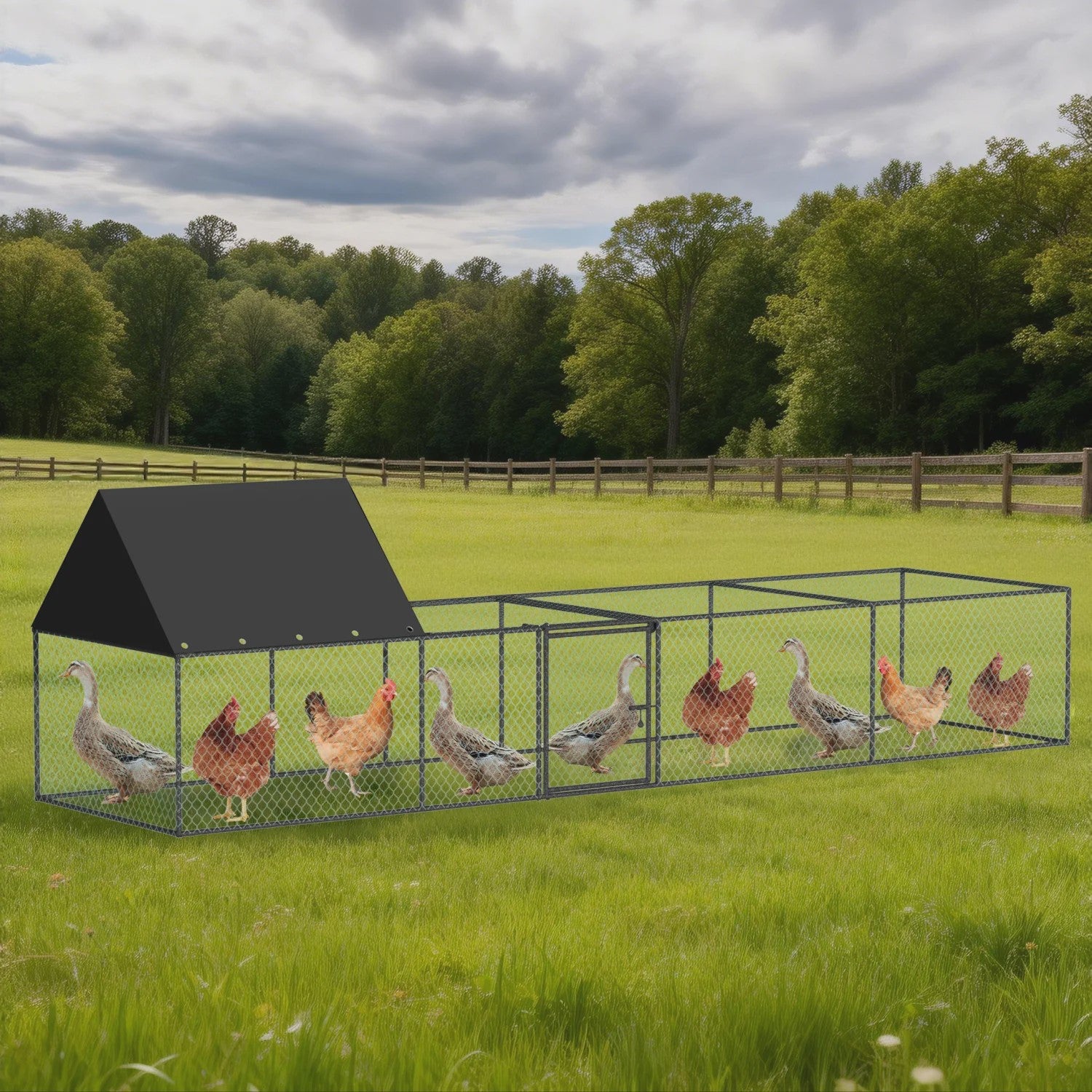 Ruime Metalen Kippenren 319cm - Walk-in Kippenhok met Dak en Nylon Netting
