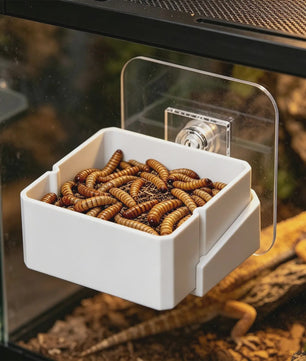 Wandmontage Voerbak voor Reptielen - Veilig en Praktisch