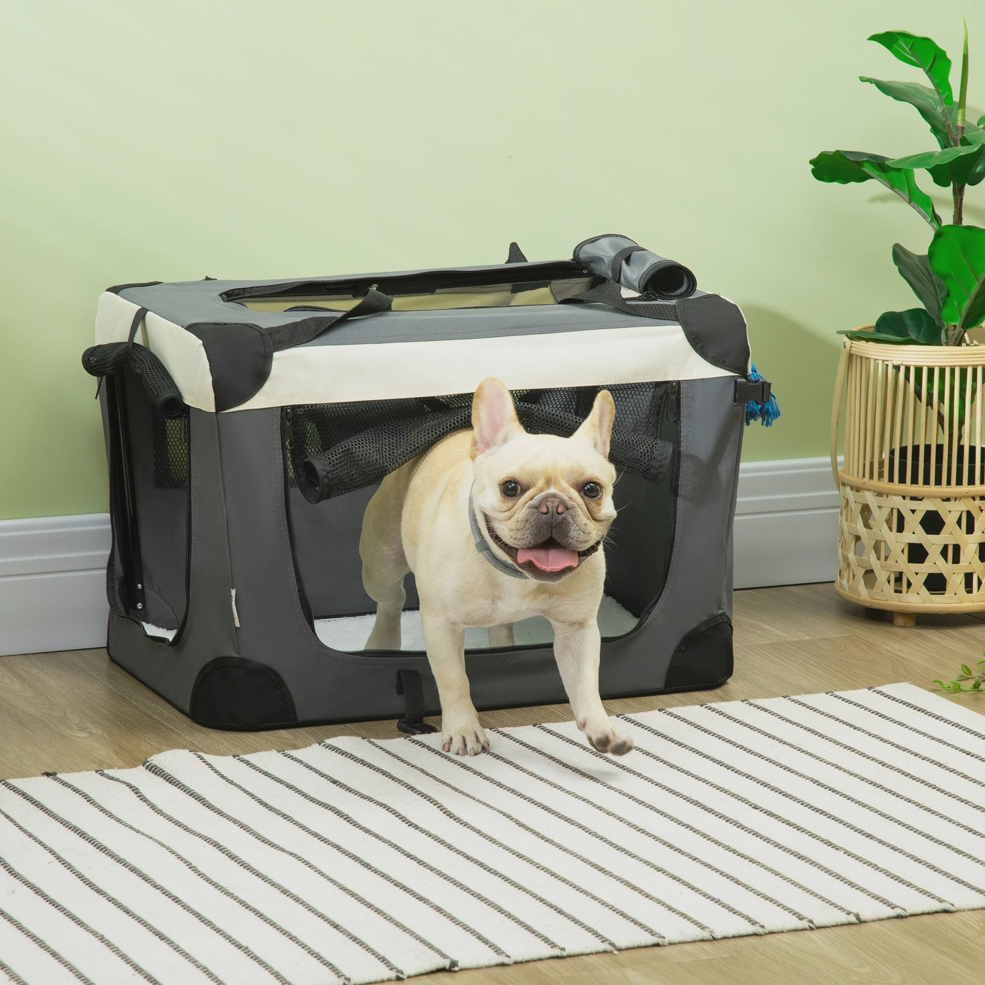 PawHut Opvouwbare Transportbox Hond Kat - Draagbaar & Comfortabel - Grijs