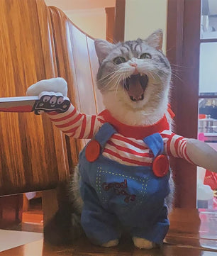 Grappige Huisdier Kostuum - Halloween Cosplay Outfit voor Katten en Kleine Honden